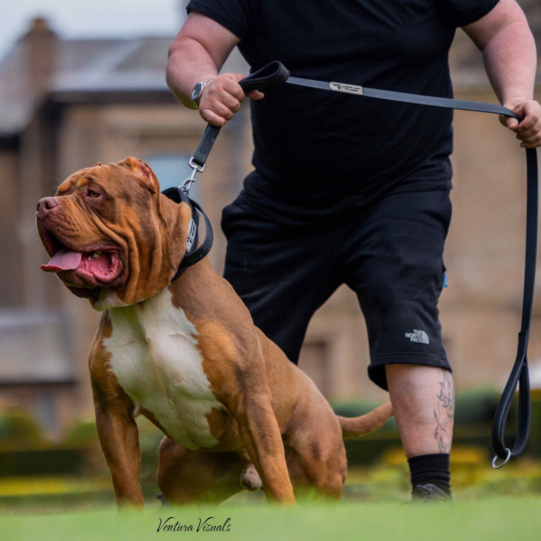 BESTIA DOG SPORT dual handle leash